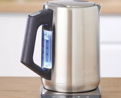 Ninja KT201UK Perfect Temperature Kettle, 1.7L, Stainless Steel-AUTO WIN