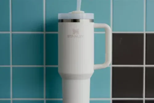 FOX GIVEAWAY-Stanley Quencher Recycled Stainless Steel Flowstate Tumbler, 1.18L, Cream