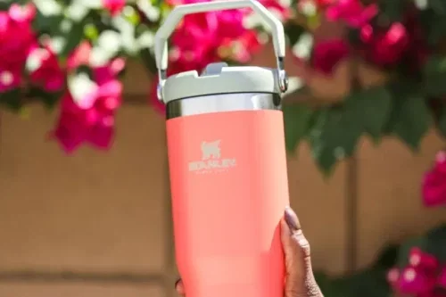 🦊Stanley IceFlow Flip Straw Stainless Steel Leak-Proof Tumbler, 887ml, Guava- auto win