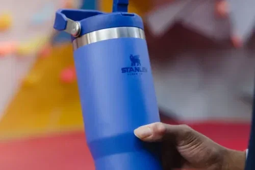 🦊Stanley IceFlow Flip Straw Stainless Steel Leak-Proof Tumbler, 887ml, Iris -auto win