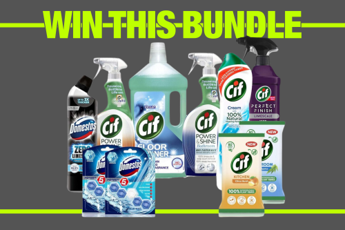 The CIF Cleaning Bundle -AUTO WIN