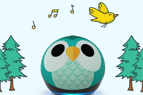 ECHO DOT KIDS- OWL- AUTO WIN 28/08
