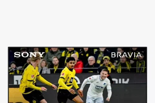 🦊Sony Bravia LED HDR 4K Ultra HD TV, 55 inch -AUTO WIN