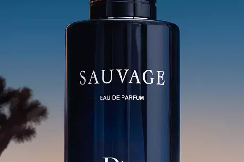 🦊DIOR Sauvage Eau de Parfum, 60ml-AUTO WIN