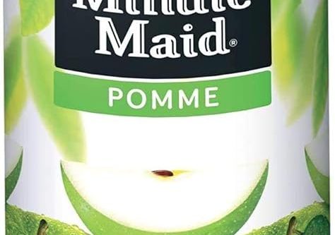 🦊 Minute Maid Pomme 33cl (Pack de 24)-auto win