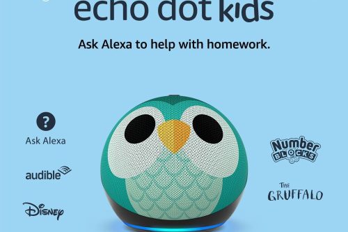 🦊Echo Dot Kids (5th generation, 2022 release) | Wi-Fi and Bluetooth smart speaker with Alexa | Designed for kids, with parental controls | Owl- AUTO WIN 30/09