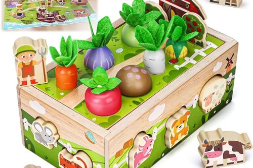 🦊Montessori Wooden Sensory Toddler Toys: AUTO WIN