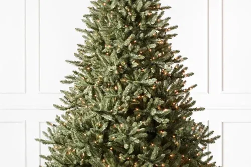 BALSAM HILL Canadian Blue Green Spruce Tree