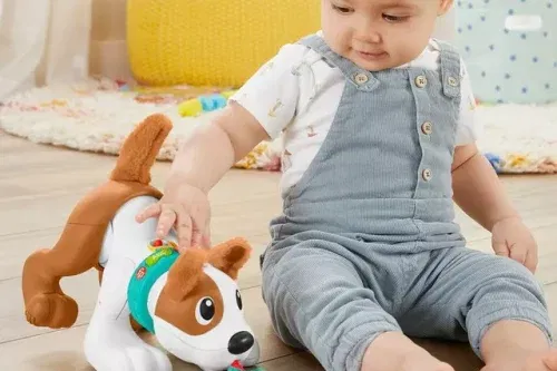 🦊Fisher-Price-123 Crawl With Me Puppy Toy- AUTO WIN 20/10