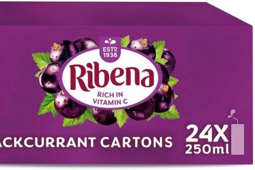 🦊Ribena Blackcurrant Flavour Fruit Juice 24x 250ml- AUTO WIN 26/10