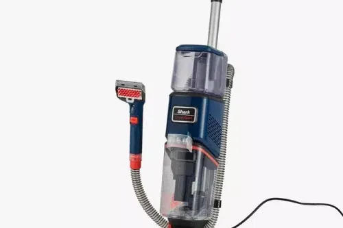Shark CarpetXpert Carpet Cleaner, Navy