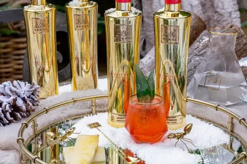 🦊AU VODKA FRUIT PUNCH 1 X70CL- AUTO WIN 02/11