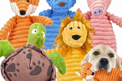 🦊Ousiya 5-PACK Squeaky Dog Toys, AUTO WIN