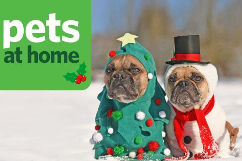 £50 PETS AT HOME GIFT CARD-AUTO WIN 19/10