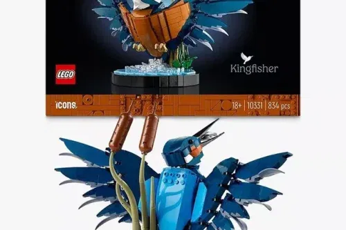🦊 LEGO Icons 10331 Kingfisher Bird-AUTO WIN