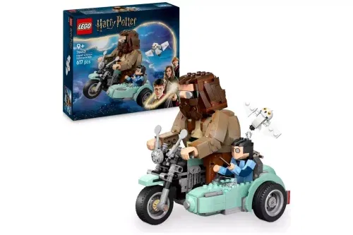 🦊 LEGO Harry Potter Hagrid & Harry's Motorcycle Ride Toy 76443-AUTO WIN