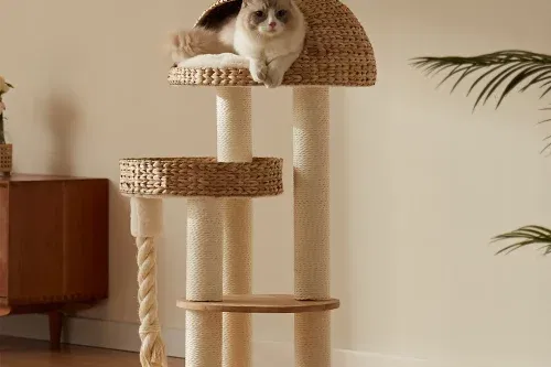 Helsinki The Dome Cat Tree-AUTO WIN