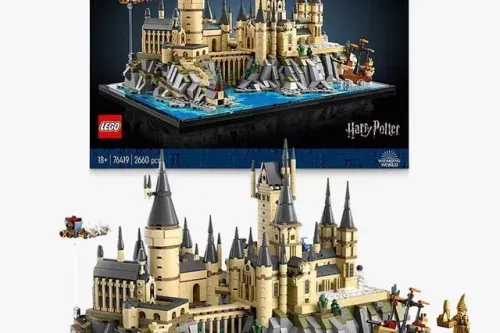LEGO Harry Potter Hogwarts Castle and Grounds Big Set 76419-AUTO WIN