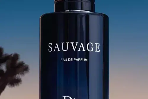 DIOR Sauvage Eau de Parfum, 100ml-AUTO WIN