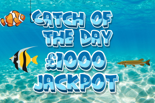 CATCH OF THE DAY INSTANT WIN- £1000 JACKPOT-AUTO WIN