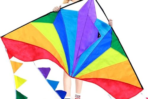 🦊HONBO Large Delta Kites For Kids and Adults,Perfect Kite for Beginners,String Line Included Toys Easy To Fly Kites with Colorful Colors Tail,Best kite For Beach Trip