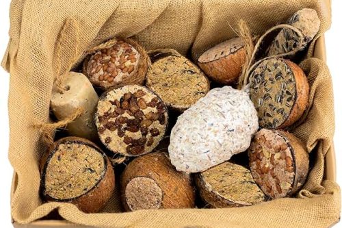 🦊 Chubby Pecka Pack Includes 12 Hanging Feeder Treats - Mix of Suet, Seed, Peanut & Mealworms Wild Bird Food-AUTO WIN