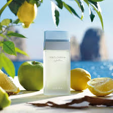 Dolce&Gabbana Light Blue Eau de Toilette 100ml-AUTO WIN