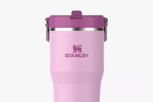 Stanley IceFlow Flip Straw Stainless Steel Leak-Proof Tumbler, 590ml, Cherry Blossom-AUTO WIN