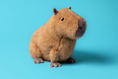 JELLYCAT Clyde Capybara-AUTO WIN