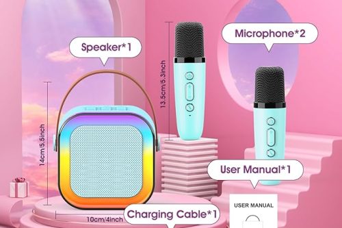 🦊MINI KARAOKE MACHINE -2 MICROPHONES -AUTO WIN 02/08