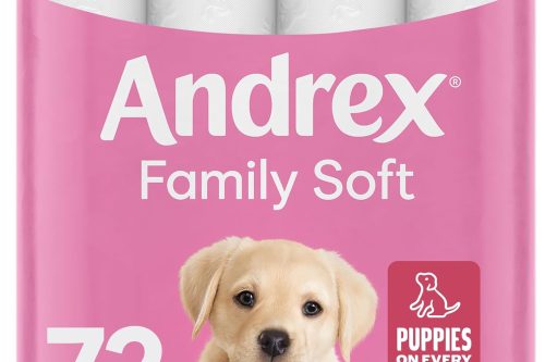 ANDREX FAMILY SOFT TOILET ROLLS – 72 TOILET ROLL PACK – AUTO WIN 02/10