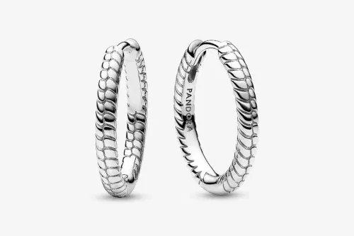 Pandora Moments Small Charm Hoop Earrings Sterling silver-AUTO WIN 25/10