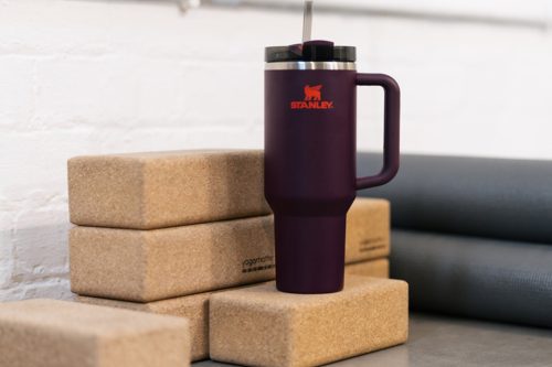 Stanley plum quencher tumbler 1.18l-AUTO WIN 01/11