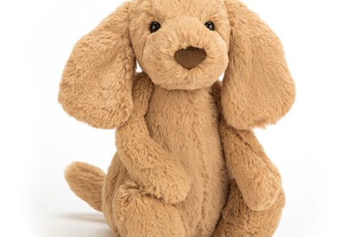 JELLYCAT Bashful Toffee Puppy-AUTO WIN 15/10