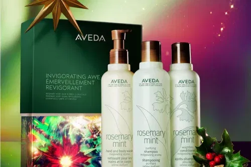 Aveda Invigorating Awe Rosemary Mint Hair And Body Essentials Set-AUTO WIN 26/10