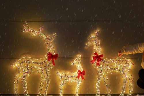 Outdoor Reindeer Family Christmas Figure, Set of 3-AUTO WIN 06/11