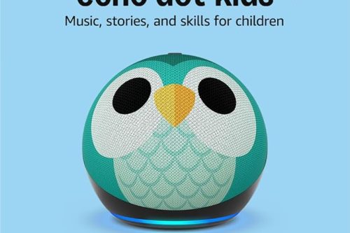 Echo Dot Kids (newest gen) | Wi-Fi and Bluetooth smart speaker with Alexa  Owl-AUTO WIN 27/11