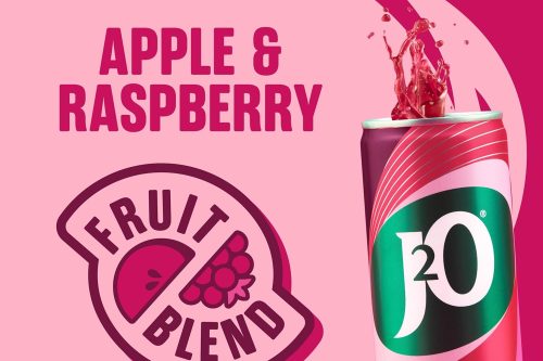 J2O Fruit Juice, Apple and Raspberry, 250ml Cans (Pack of 12x2) AUTOWIN 25/11