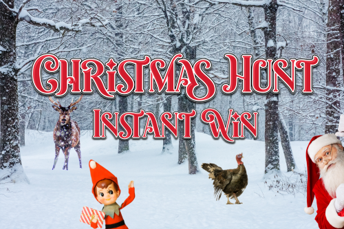 CHRISTMAS HUNT INSTANT WIN- MAIN PRIZE £250 CASH -AUTO WIN 07/11