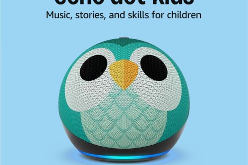 Echo Dot Kids (newest gen) | Wi-Fi and Bluetooth smart speaker with Alexa Owl-AUTO WIN 08/12