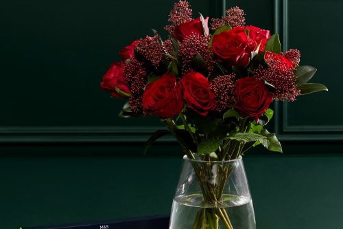 M&S Rose & Skimmia Posy with Pistachio Gnomes-AUTO WIN 13/12