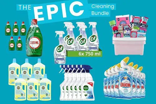 THE EPIC CLEANING BUNDLE -AUTO WIN 25/01