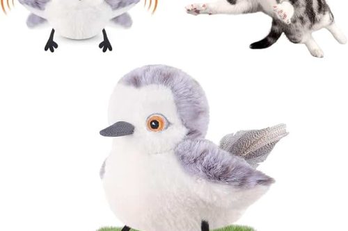 Migipaws Cat Toys Rechargeable Flapping Bird (No Flying), Lifelike Sandpiper Chirp, Touch Activated, Interactive Kitten Toy for Bored Indoor Cat Kicker, Catnip Toys-AUTO WIN 31/01