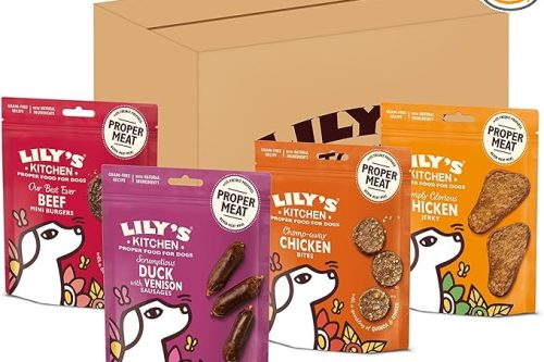 Lily's Kitchen Natural Dog Treats Multipack - Beef Mini Burgers, Duck and Venison Sausages, Chicken Bites & Chicken Jerky (8 x 70 g)-AUTO WIN 13/01