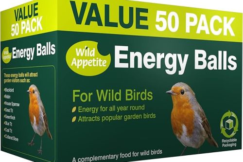 Wild Appetite Suet Energy Fat Balls Bird Food - Pack of 50-AUTO WIN
