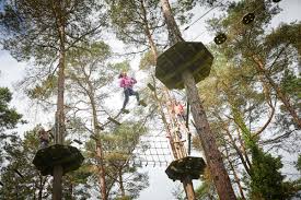 £100 Go Ape Gift Card- AUTO WIN 16/01