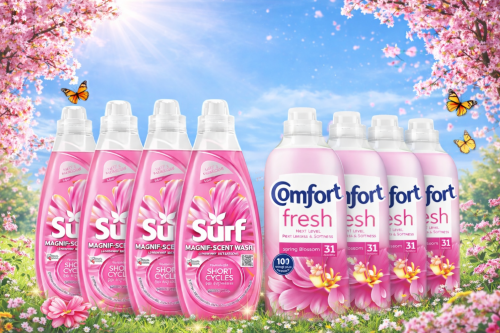 Surf and Comfort Bundle AUTO-WIN 11/02