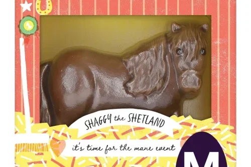 2X M&S Shaggy The Shetland Easter Egg-AUTO WIN 08/03
