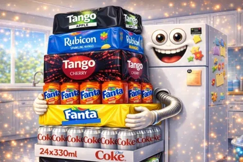 YOU PICK YOUR FIZZY DRINK 2X 24 X 330 ML-AUTO WIN 25/03