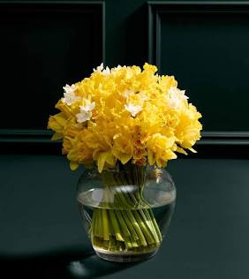 M&S 100 British Daffodils & Narcissus Bouquet-AUTO WIN 27/03